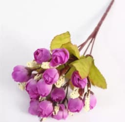 ECT 1773 Rosebud Bunch thumbnail 1