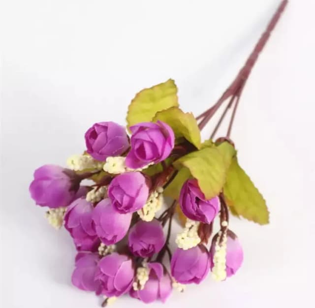 ECT 1773 Rosebud Bunch