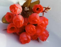 ECT 1774 Rosebud Bunch thumbnail 1