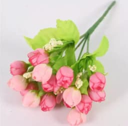 ECT 1776 Rosebud Bunch thumbnail 1