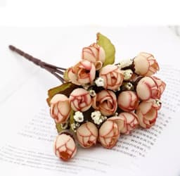 ECT 1777 Rosebud Bunch thumbnail 1