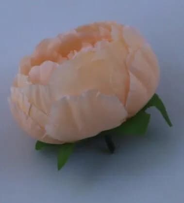 ECT 1781 10cm Creamy Peach Peony Flower with Stick