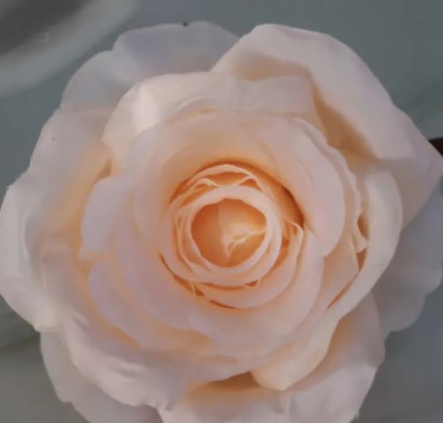 ECT 1786 10cm Cream Rose Flower with Stick