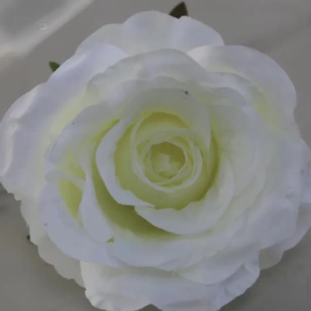 ECT 1787 White 10cm Rose Flower with Stick