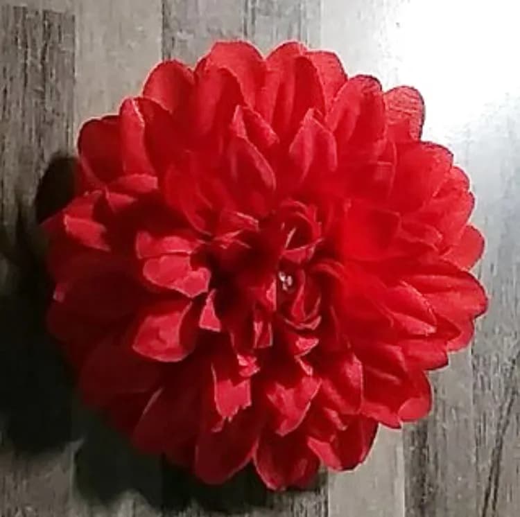 ECT 1813 10cm Red dahlia flower image 1