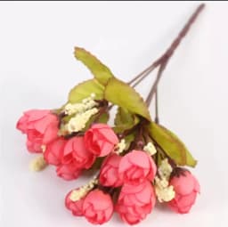 ECT 1825 Rosebud bunch thumbnail 1