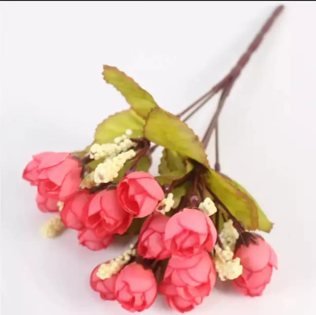 ECT 1825 Rosebud bunch
