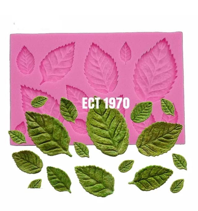 ECT 1970 Leaves silicone mold