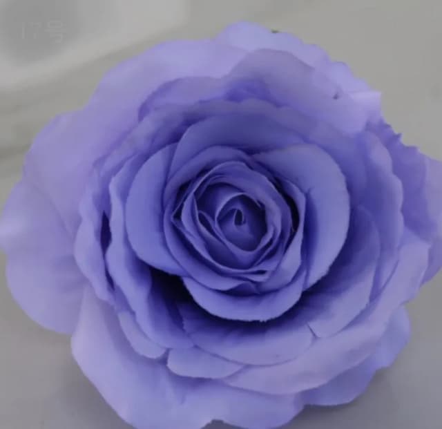 ECT 2202 Lilac Rose Flower