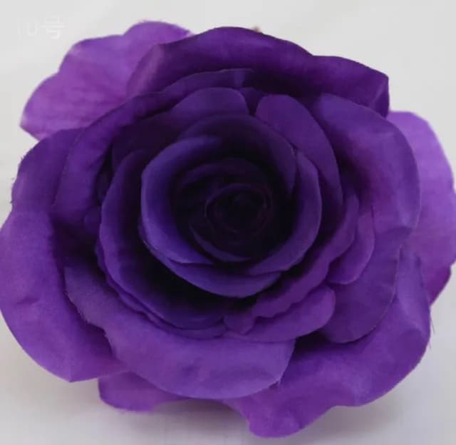 ECT 2203 Purple Rose Flower
