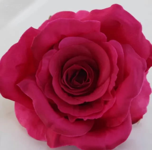 ECT 2205 Dark Pink Rose Flower