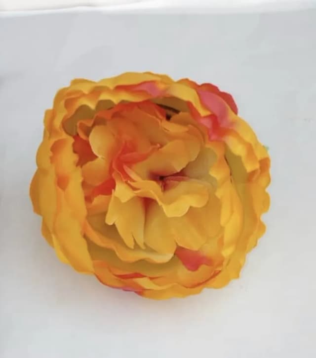 ECT 2206 Orange peony flower