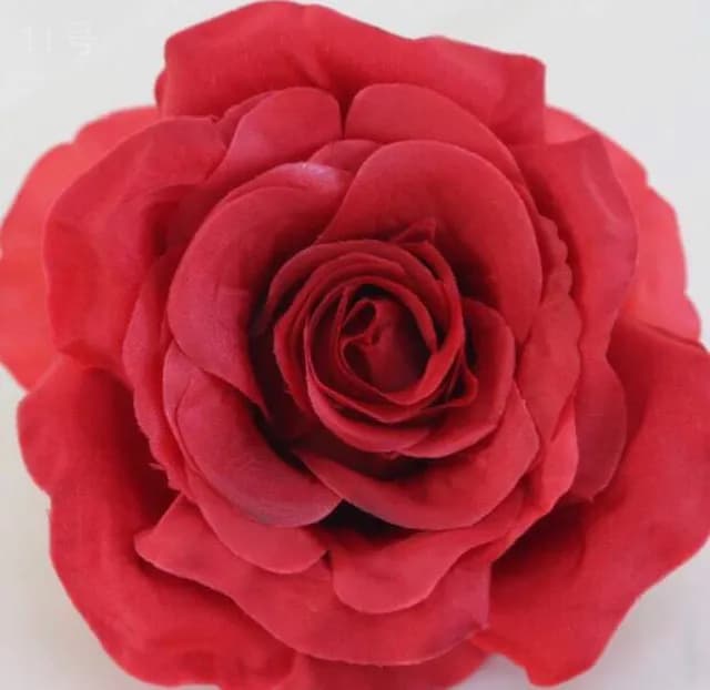ECT 2209 Wine Rose Flower