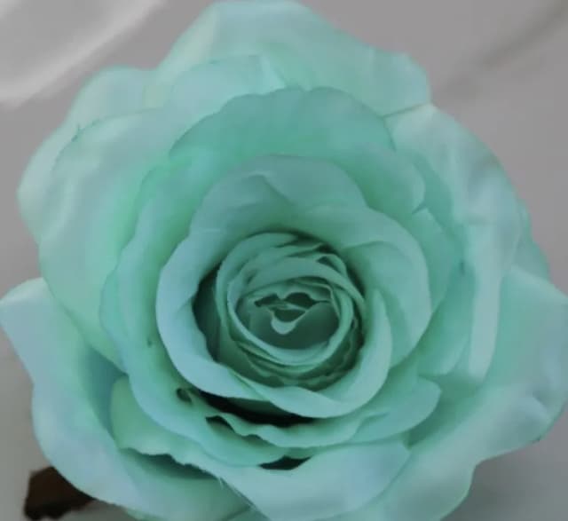 ECT 2211Tiffany Rose Flower