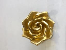 ECT 2506 Gold Dust 50g thumbnail 1
