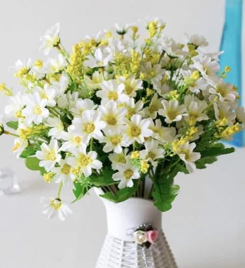 ECT 2700 White daisy flower