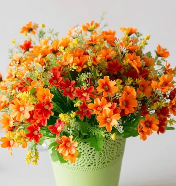 "ECt 2703 Orange and Burnt orange daisy"