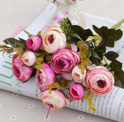 ECT 2711 Pink and white Ranunculus flower thumbnail 1
