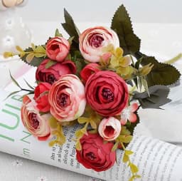 ECT 2712 Red and cream ranunculus flower thumbnail 1