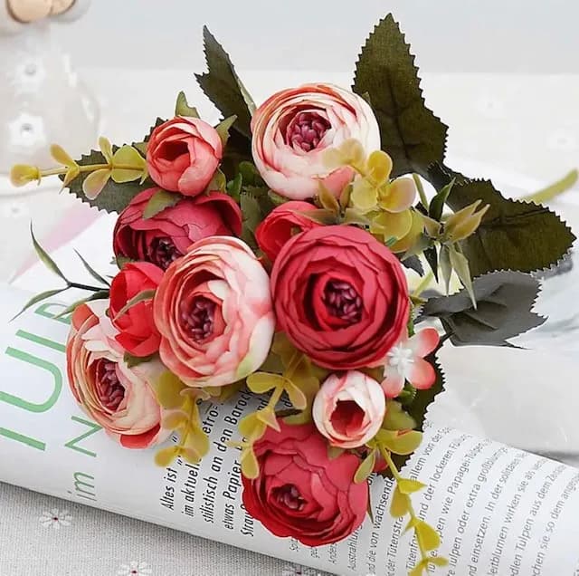 ECT 2712 Red and cream ranunculus flower