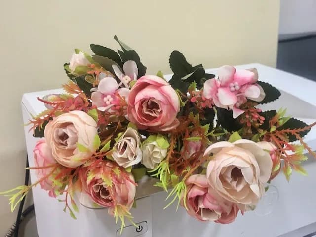 ECT 2715 Pale pink ranunculus flower