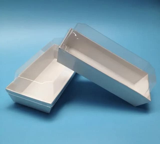 "Ect 3115 large rectangle food package 10pcs"