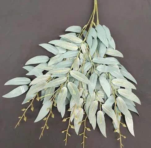 ECT 4347 Pale green leaves